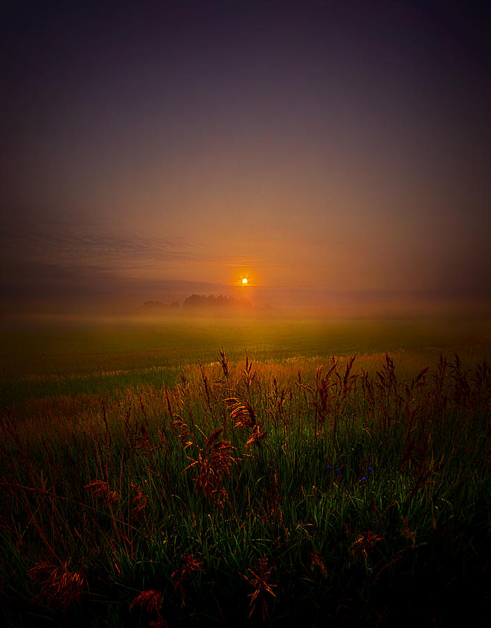 Landscape Photograph - Quietly by Phil Koch