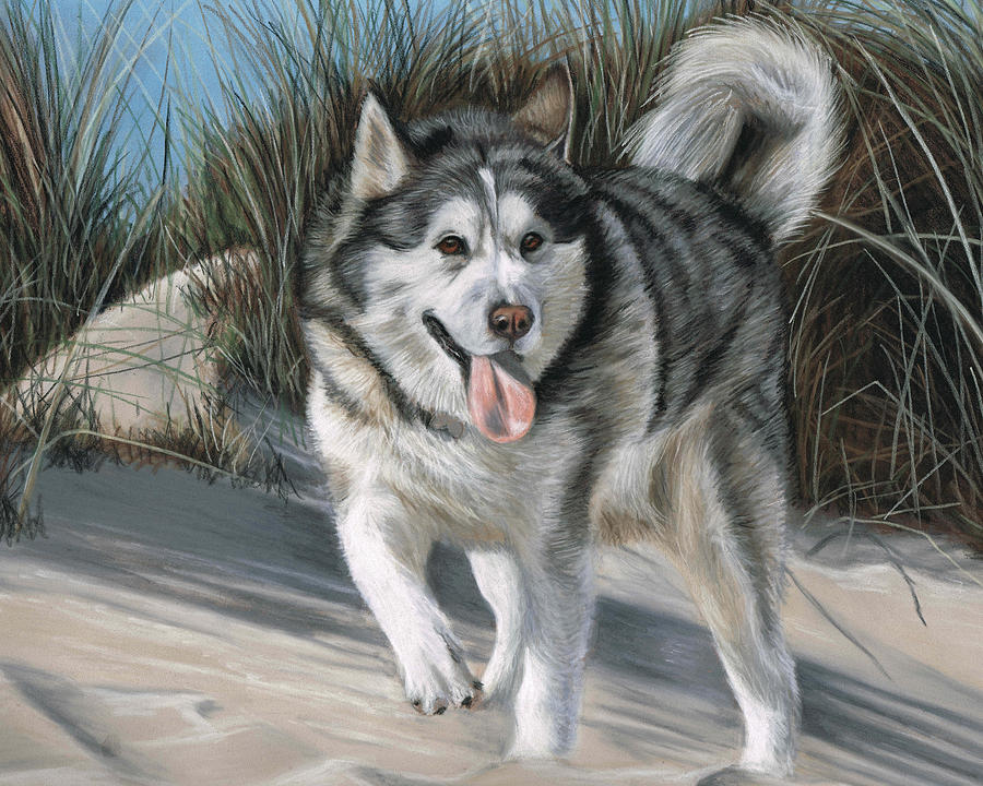 Malamute Painting - Quil by Sarah Leigh