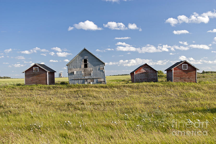 Quill Lake Saskatchewan Granaries Photograph by Rick Pisio Pixels