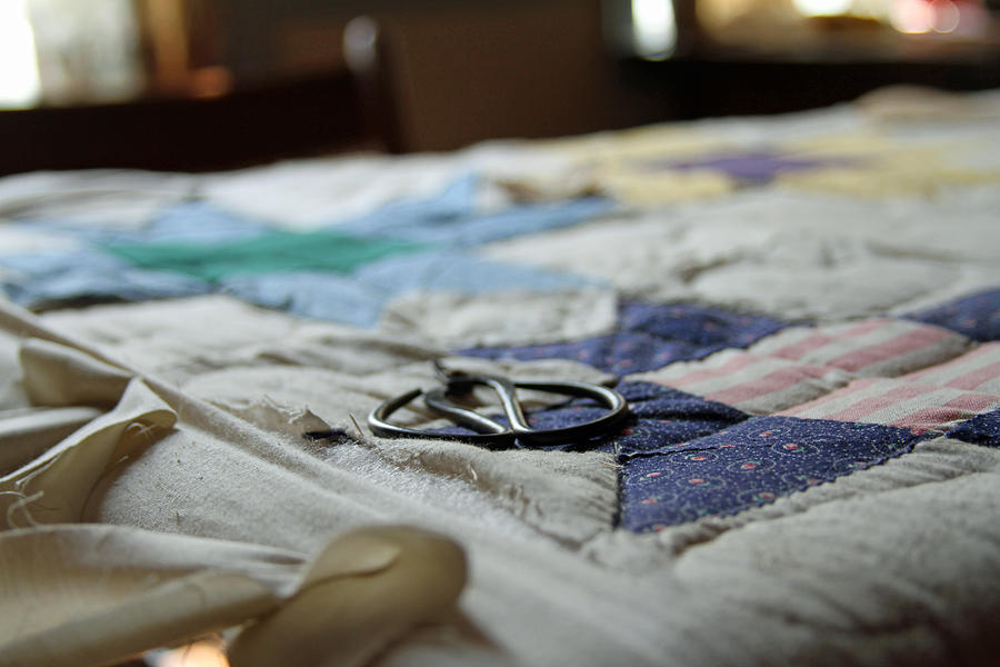 Quilting Photograph by Jackson Pearson