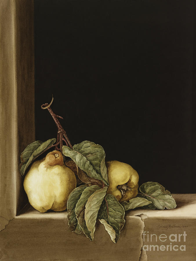 Still Life Painting - Quinces by Jenny Barron