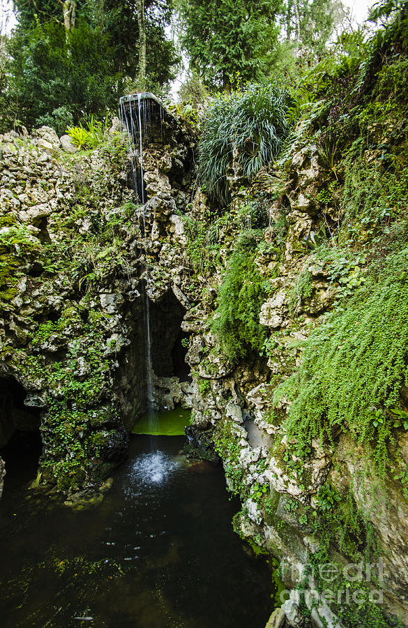 Quinta da Regaleira Grotto Photograph by Deborah Smolinske