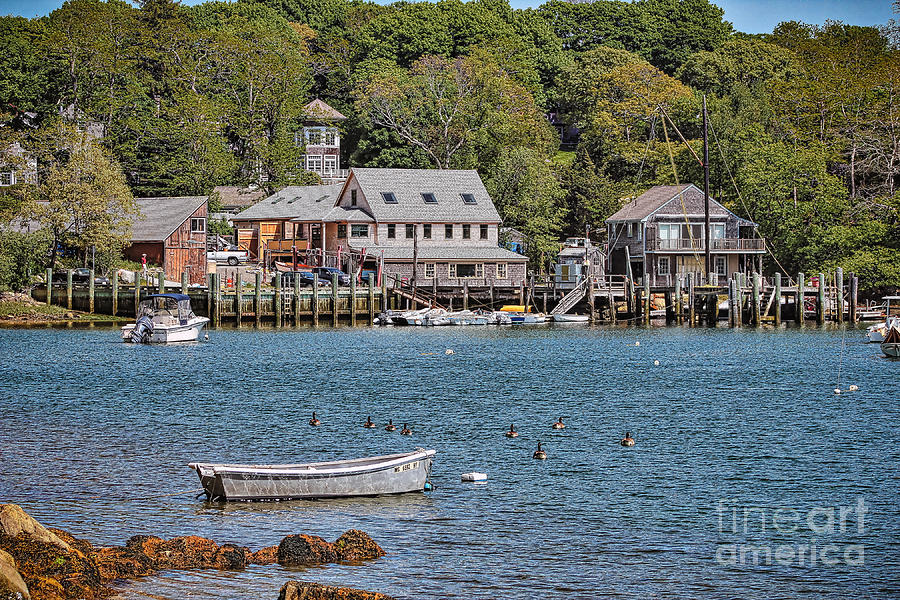 Landscape Photograph - Quissett Harbor by Elizabeth Thomas