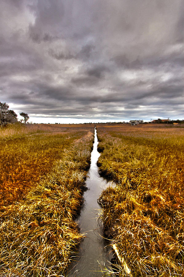Quogue Wetlands Preserve - 1 Photograph by Robert Seifert