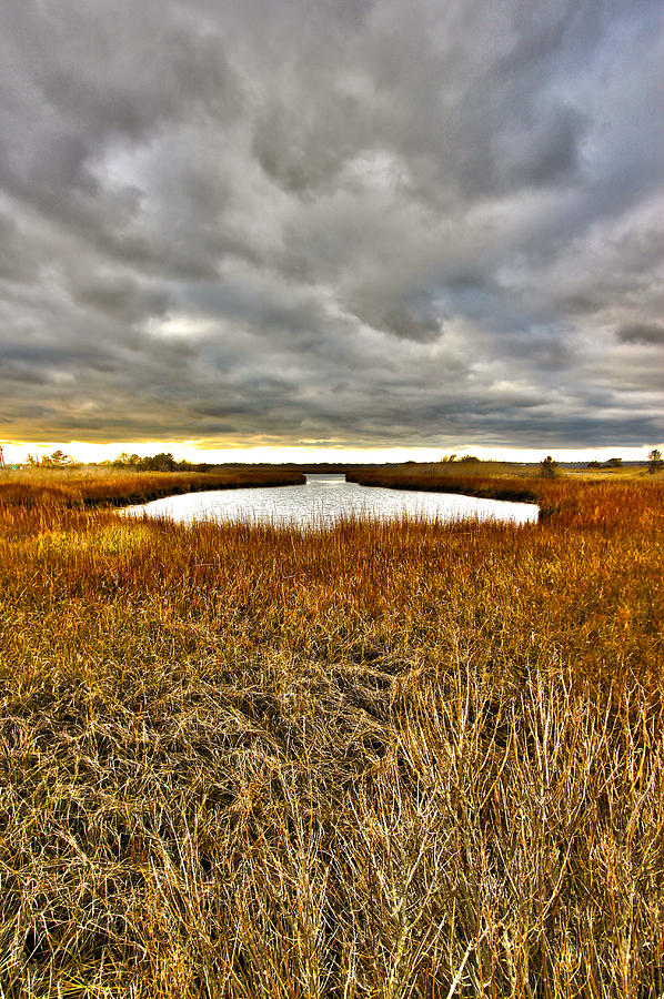 Quogue Wetlands Preserve - 3 Photograph by Robert Seifert