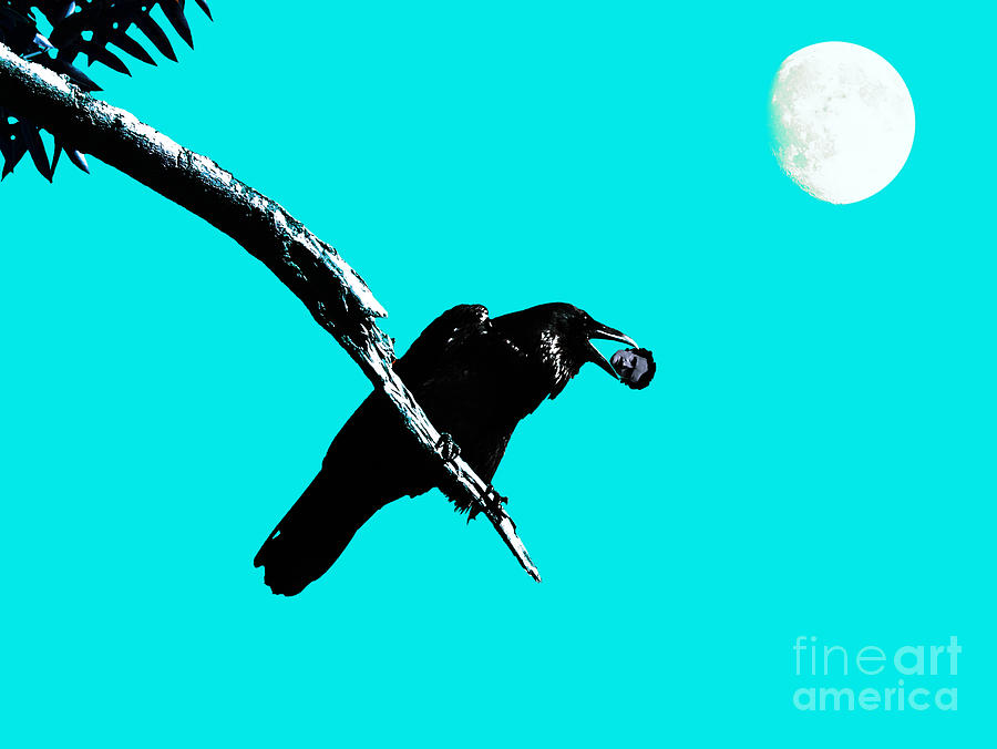 Quoth The Raven Nevermore . Cyan Photograph by Wingsdomain Art and Photography