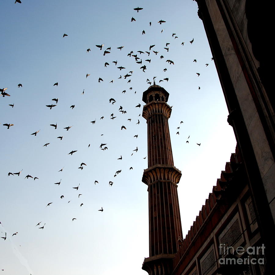 Jama Masjid - Minaret Photograph by Jacqueline M Lewis