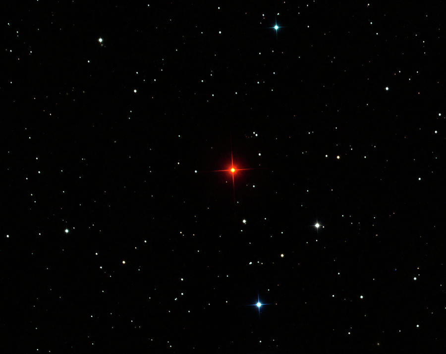 R Leporis Variable Star Photograph by Damian Peach