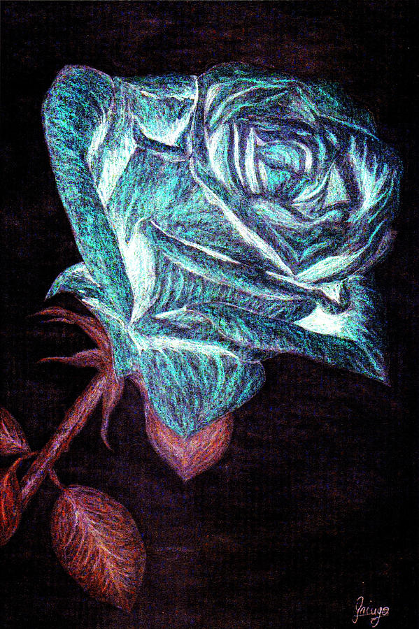 Rose Drawing - R 7 by Gringo Artist