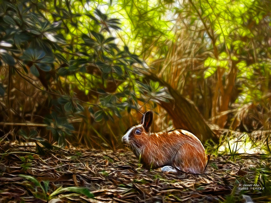 Rabbit - 1983 - Modern Rabbit Art Digital Art by James Ahn