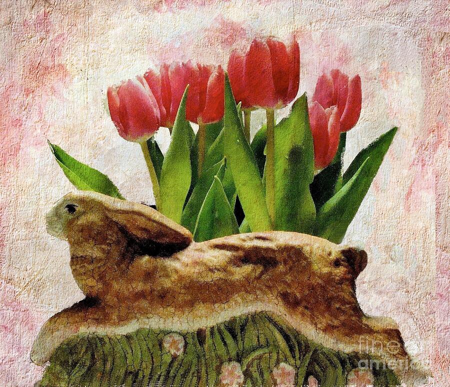 Rabbit and Pink Tulips Photograph by Janette Boyd