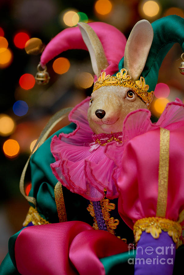 Christmas Photograph - Rabbit Court Jester by Amy Cicconi