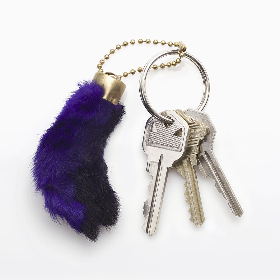 Rabbit foot key chain Photograph by Jupiterimages