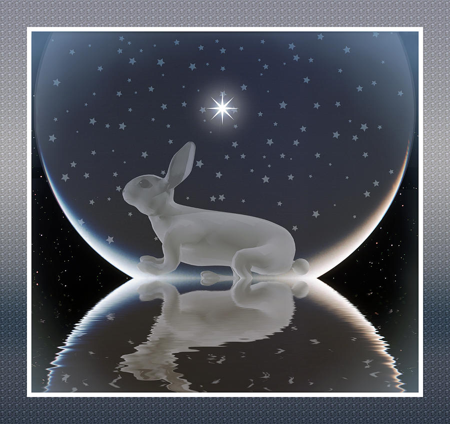 Rabbit Digital Art by Harald Dastis