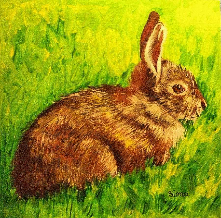 Nature Painting - Rabbit in grass by Siona Koubek