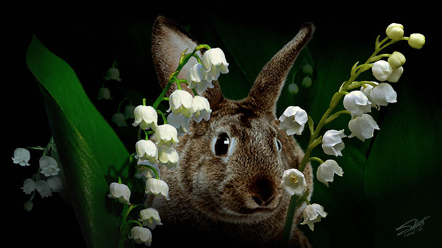 Rabbit in the Lilies Digital Art by M Spadecaller