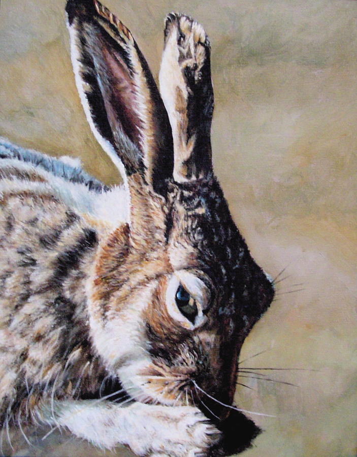 Wildlife Painting - Jackrabbit by Lillian  Bell