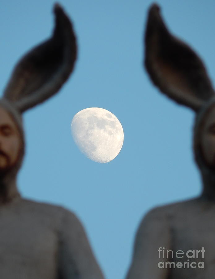 Rabbit People On A Roof In New Orleans Louisiana Moon Focus #4 Photograph by Michael Hoard