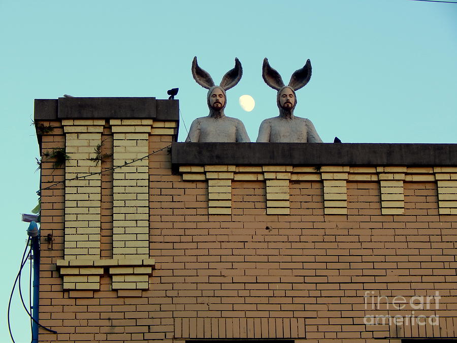 Rabbit People On A Roof In New Orleans Louisiana Moon View #2 Photograph by Michael Hoard