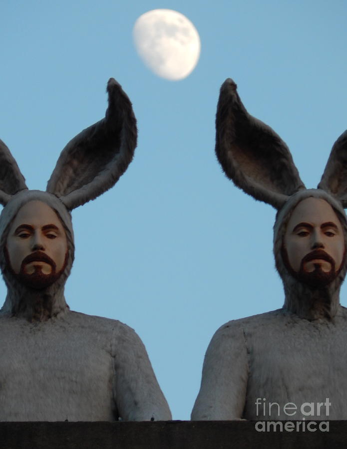 Rabbit People On A Roof In New Orleans Louisiana Moon View #3 Photograph by Michael Hoard