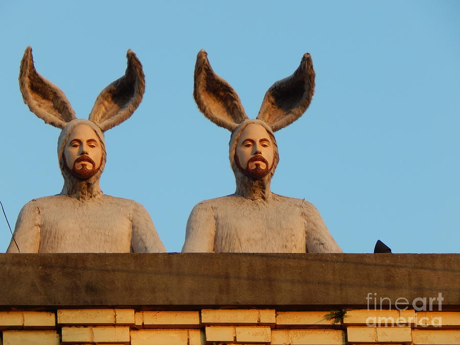 Rabbit People On A Rooftop In New Orleans Louisiana Photograph by Michael Hoard