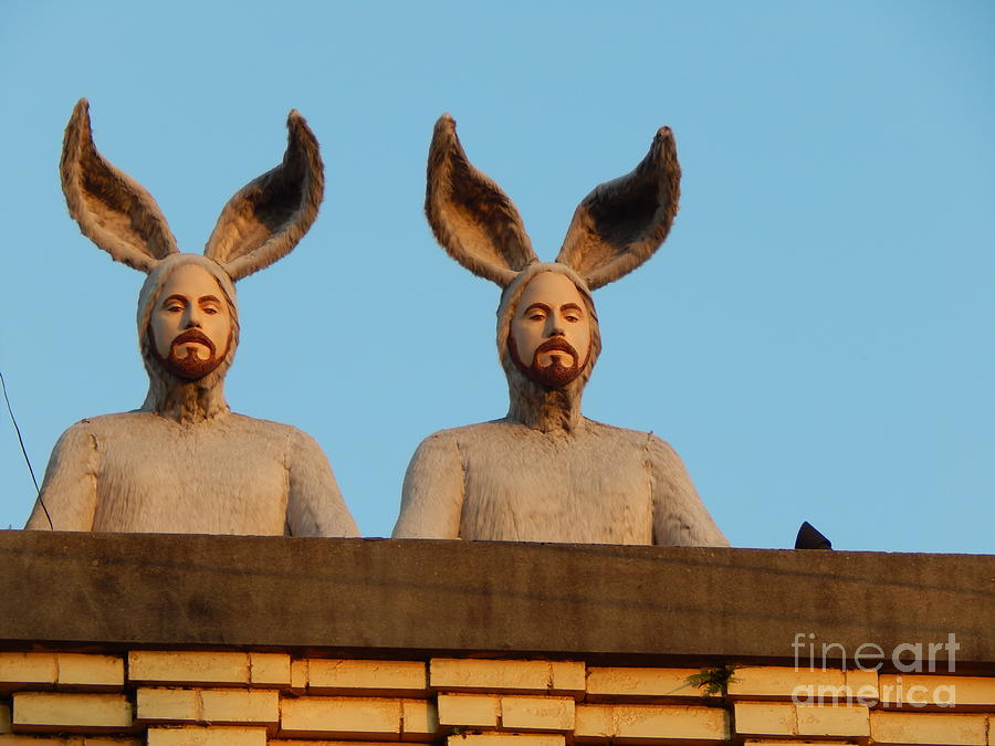 Rabbit People On The Roof In New Orleans Photograph by Michael Hoard