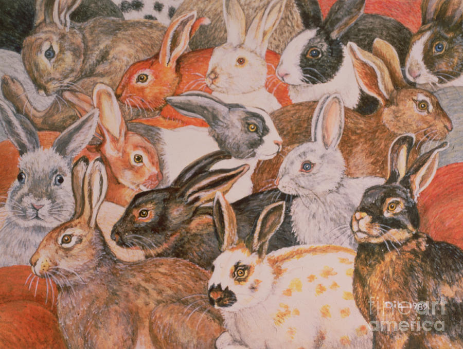 Rabbit Painting - Rabbit Spread by Ditz