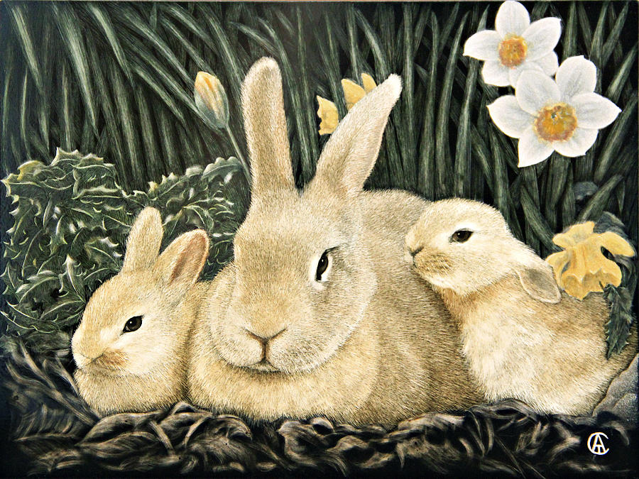Rabbits Painting by Angie Cockle