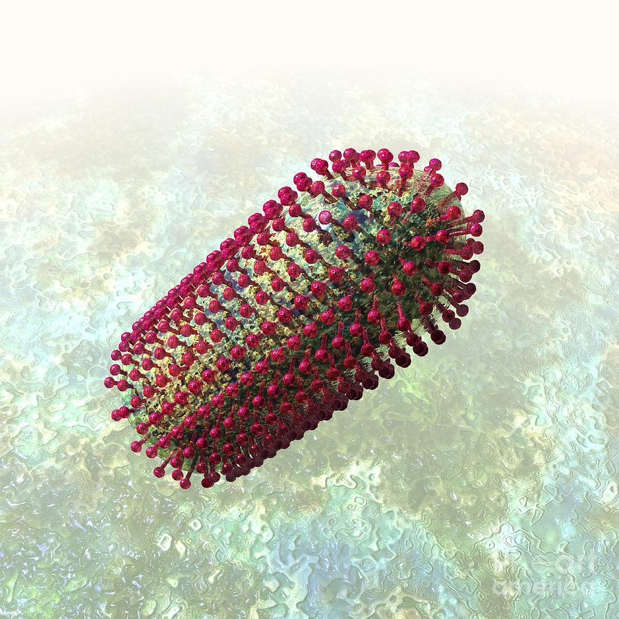 Rabies Virus Particle Artwork Photograph By Russell Kightley