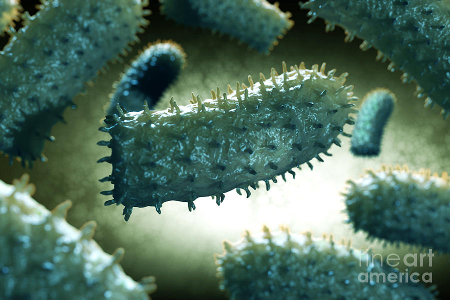 Rabies Virus Particles Photograph by Science Picture Co