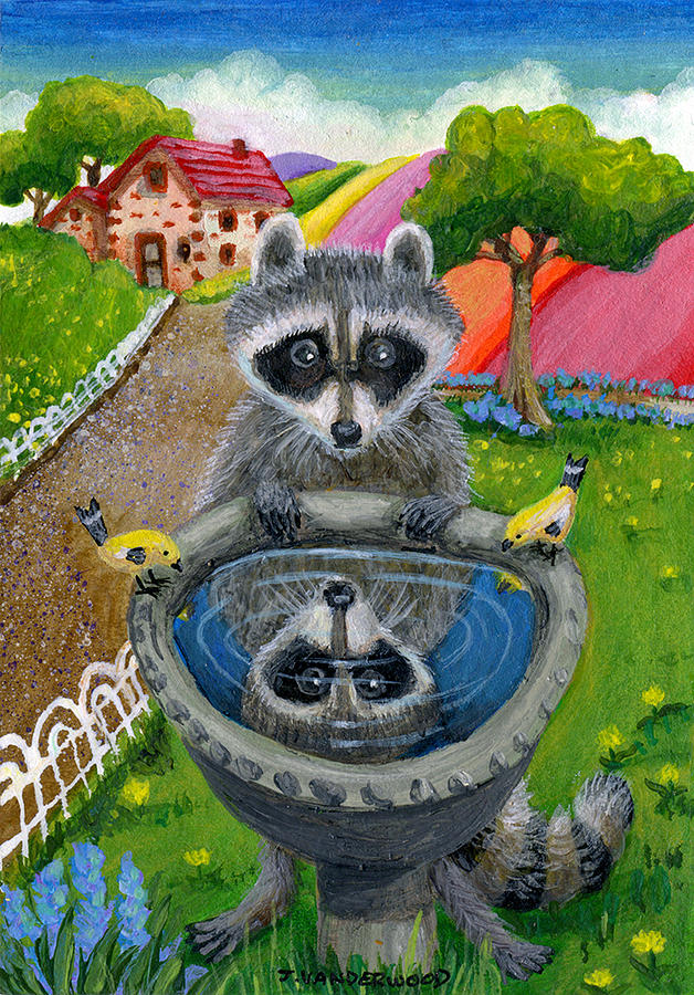 Raccoon at the Birdbath Painting by Jacquelin L Vanderwood Westerman