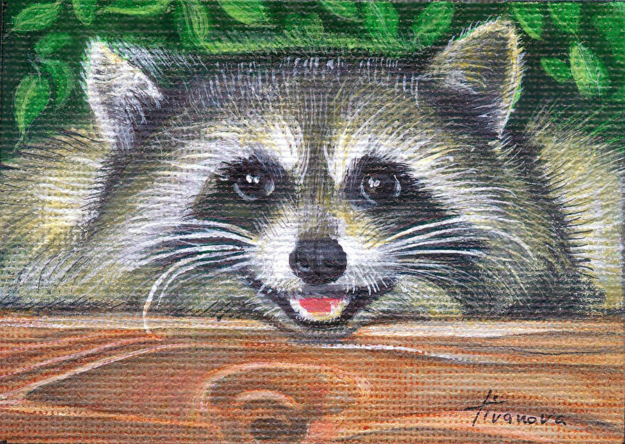 Raccoon happy eyes Painting by Temenuga Ivanova - Fine Art America