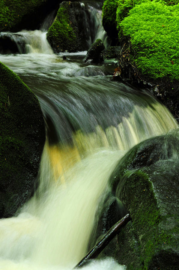 Raccoon Hill Brook Photograph by Mike Martin