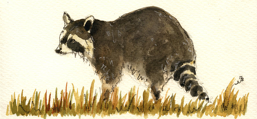 Wildlife Painting - Raccoon in the grass by Juan  Bosco