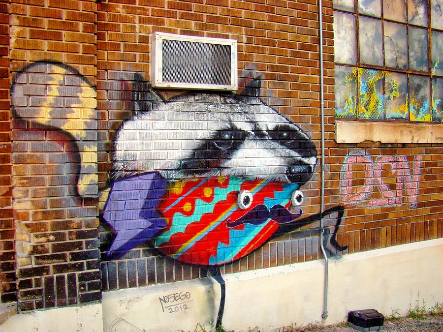 Raccoon On The Wall Photograph by Alice Gipson