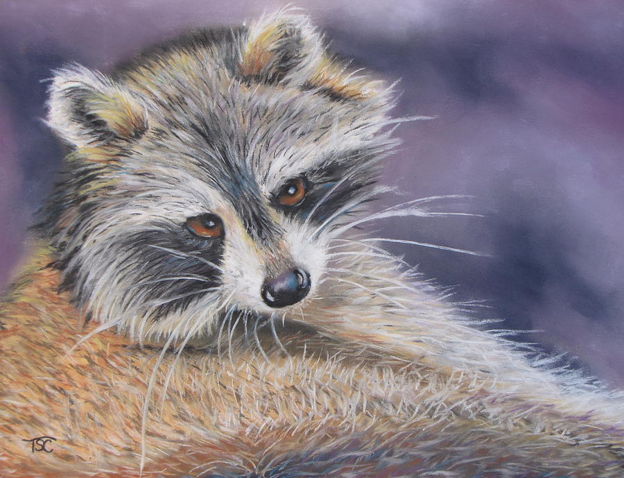 Raccoon Painting by Tammy Crawford