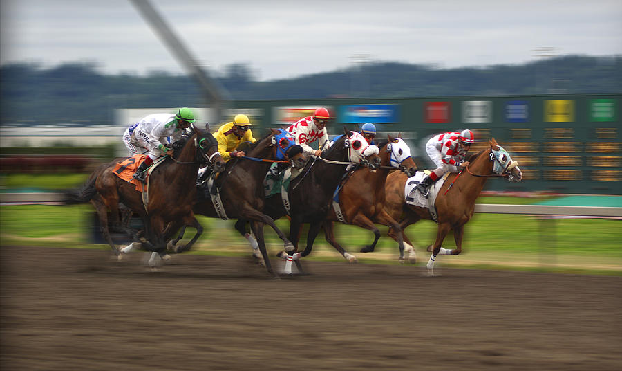 Race Horses by Mike Prittie