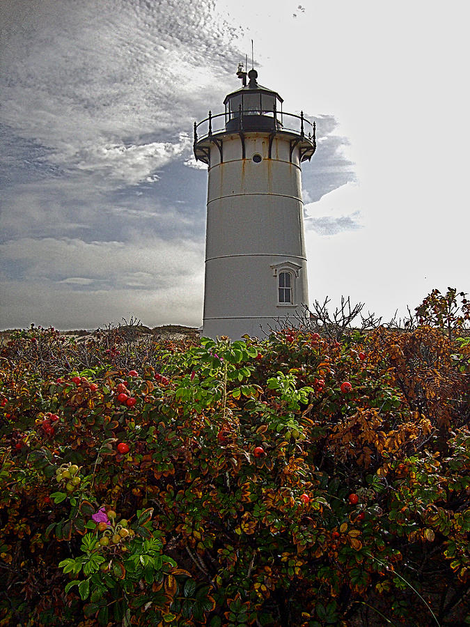 Race point lighthouse Photograph by Frank Fernino