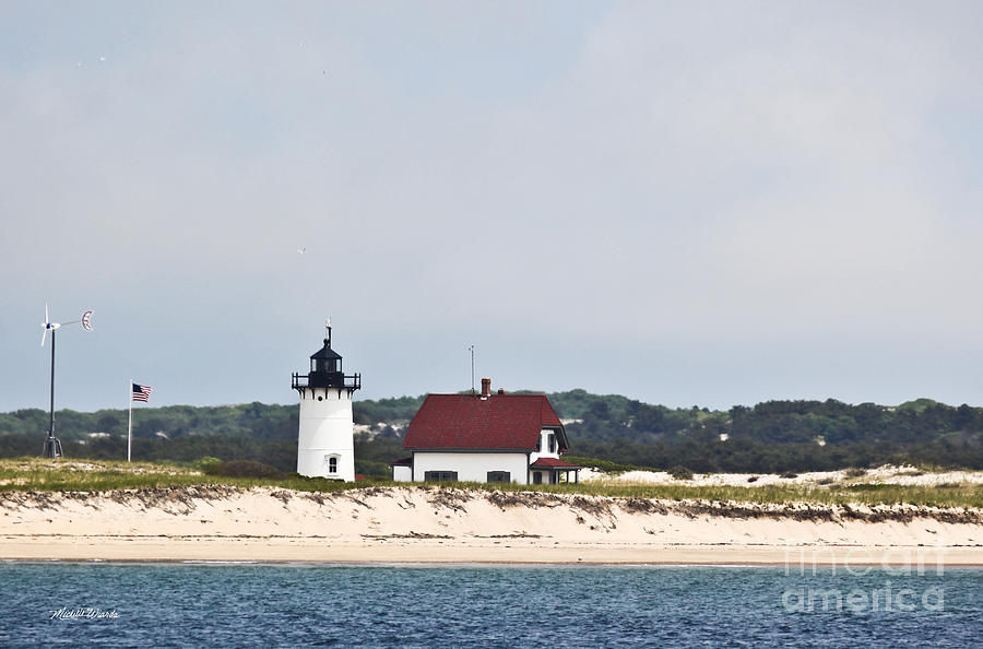 Tree Photograph - Race Point Lighthouse Provincetown Massachusetts by Michelle Constantine