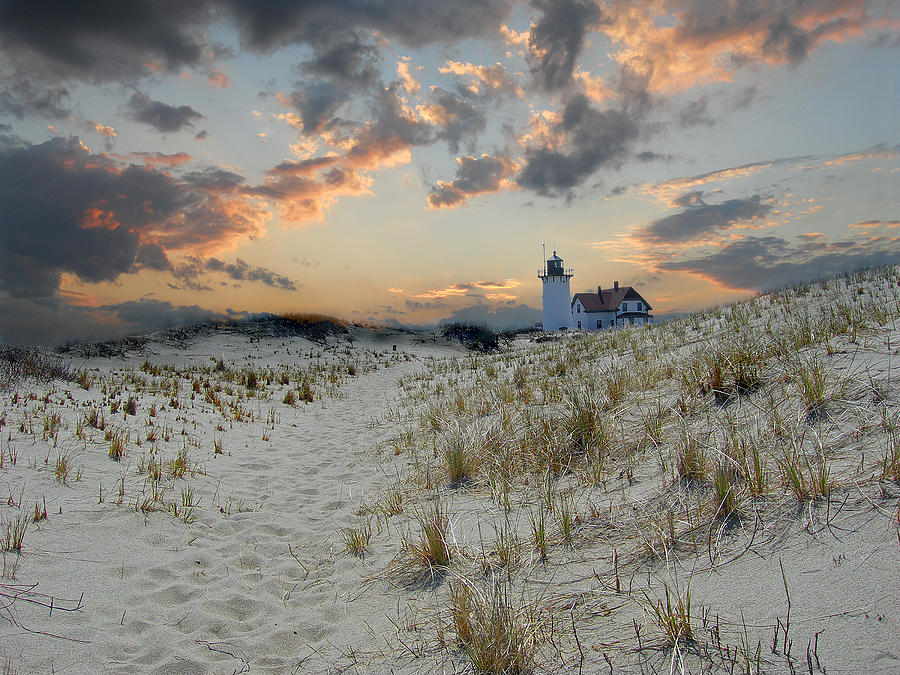 Race Point Lighthouse Photograph by Skip Willits