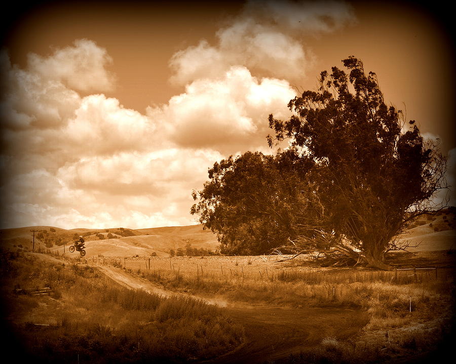 Race Track Sepia Photograph by Lisa Holland-Gillem