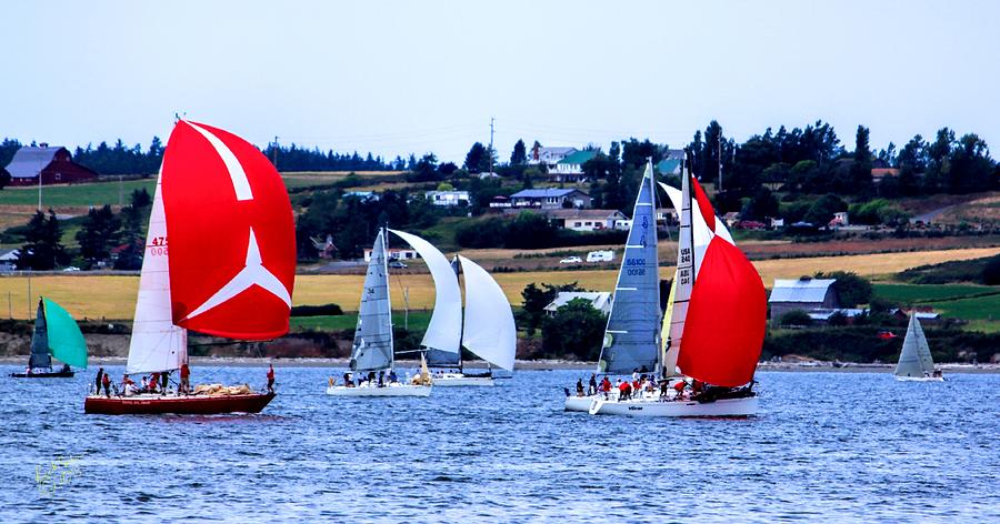 Boat Photograph - Race Week and Farm by Rick Lawler