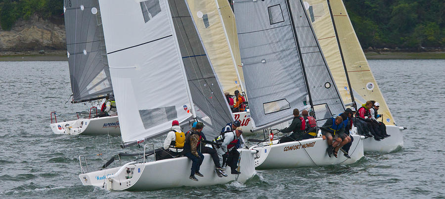 Race Week at Whidbey Photograph by Steven Lapkin