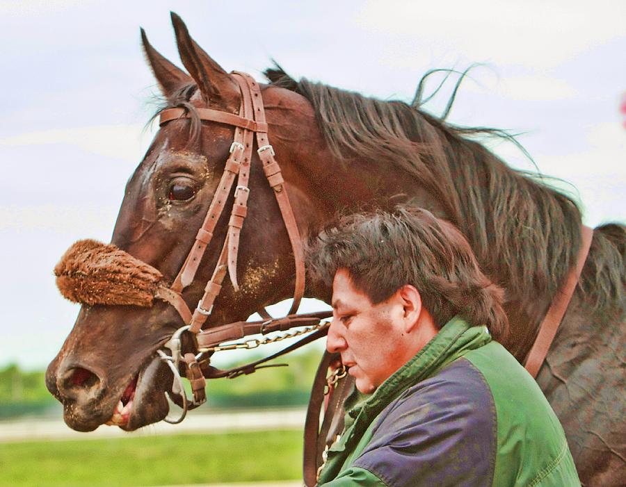 Racehorse Photograph By Alice Gipson Fine Art America