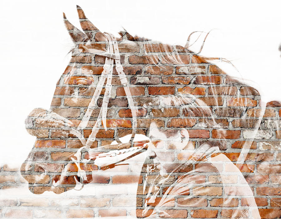 Racehorse In Brick Photograph by Alice Gipson