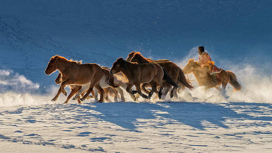 Animal Photograph - Racing In Snow by Hua Zhu