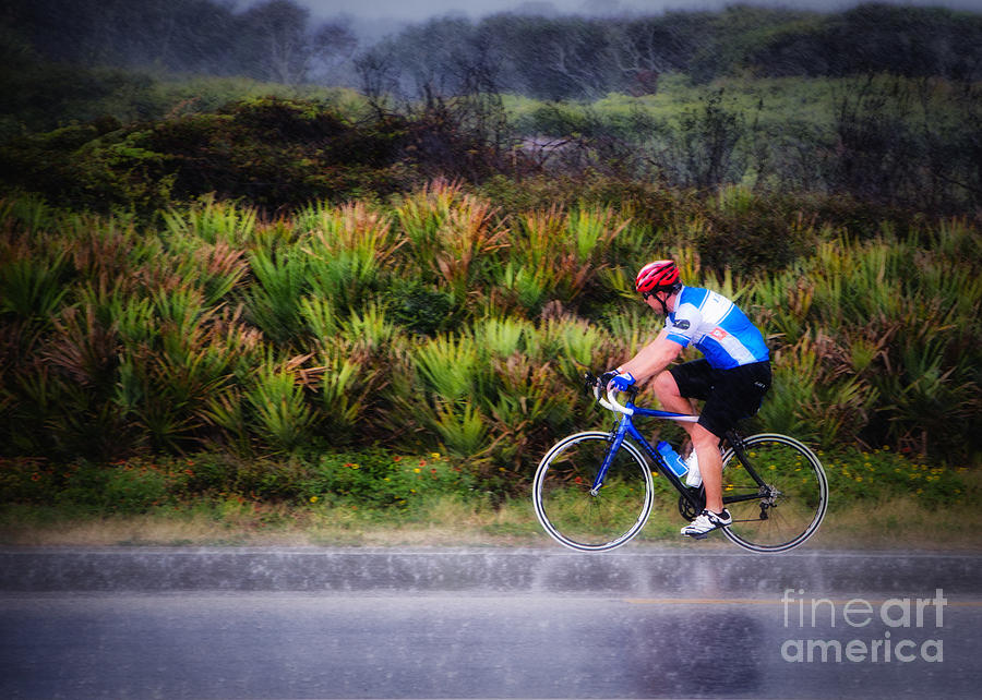 Racing In The Rain Photograph by Paul Sisco | Fine Art America