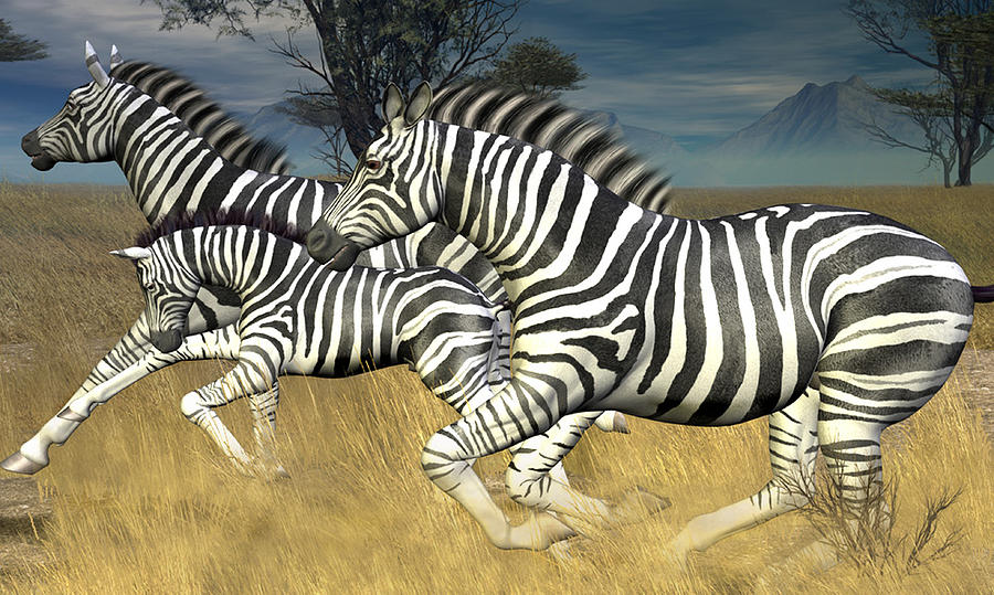 Racing Stripes Digital Art by Jayne Wilson
