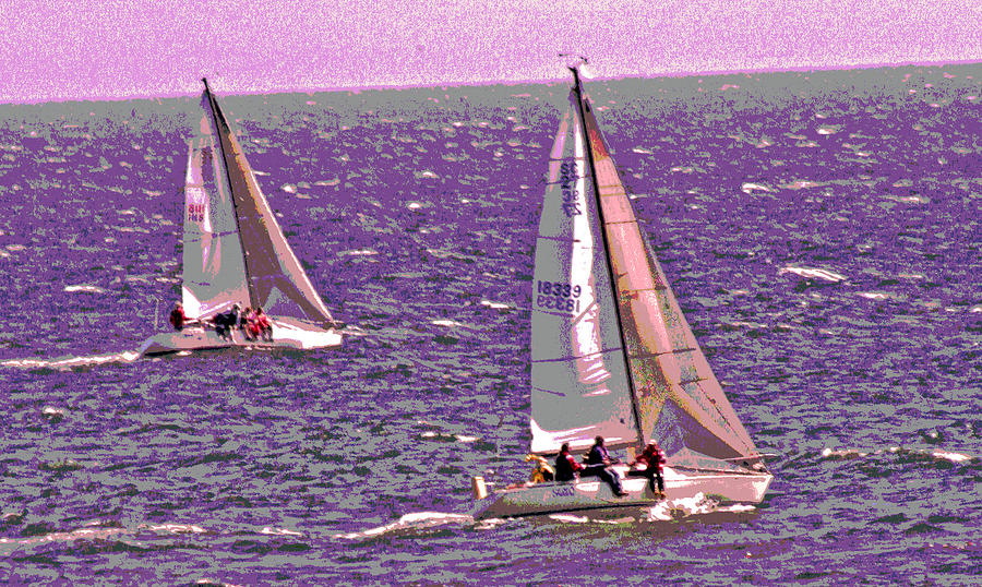 Racing the Wind Photograph by Joseph Coulombe