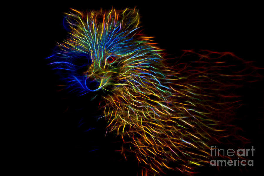 Racoon Dog Abstract Digital Art